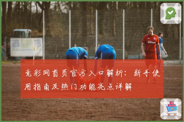 竞彩网首页官方入口解析：新手使用指南及热门功能亮点详解