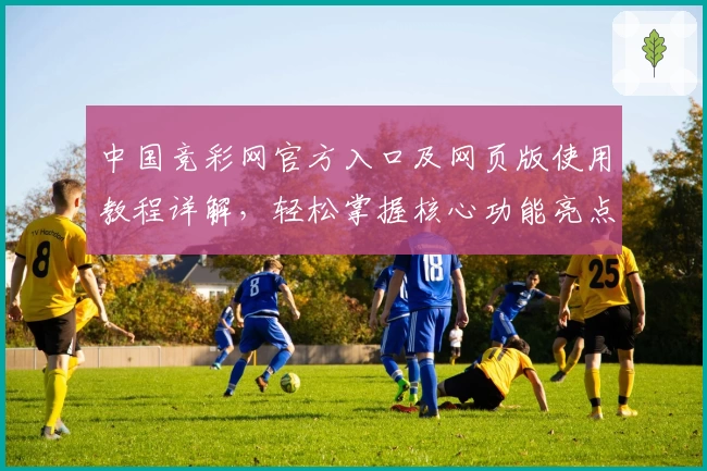 中国竞彩网官方入口及网页版使用教程详解,轻松掌握核心功能亮点
